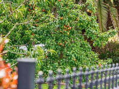 1014 South Head Road, South Head, Helensville