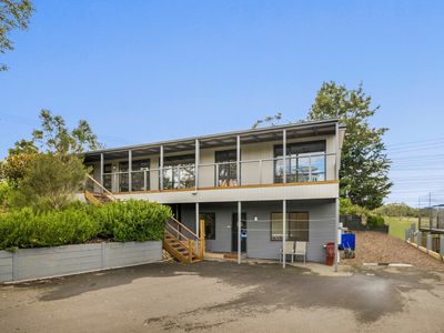 CatShack Cat Accommodation and Freehold for Sale