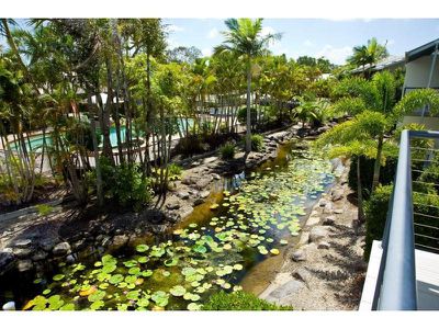 131 / 73 Hilton Terrace, Noosaville