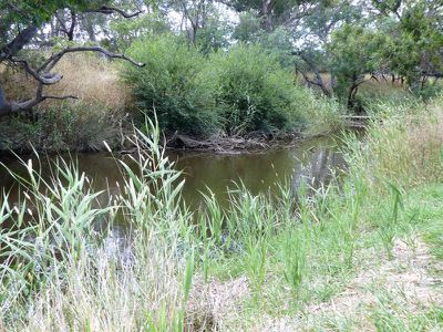 320 Tallarook-pyalong Rd, Tallarook