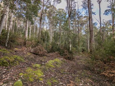 Ra Brittains Road, Garden Island Creek