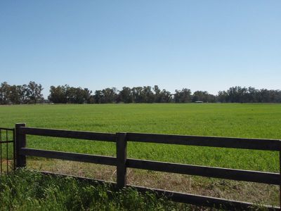 Lot 2 Lot 2 The Angle Estate, Dubbo
