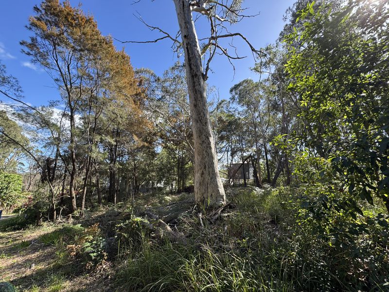 7 TULIP STREET, Russell Island