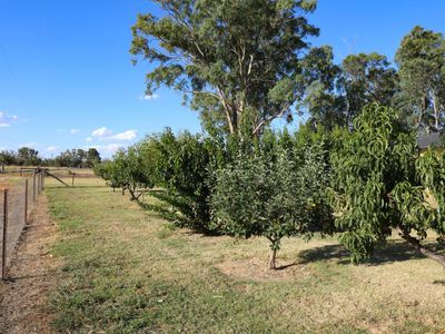 253 Koondrook Murrabit Road, Koondrook