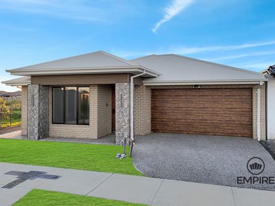 14 Filly Street, Clyde North