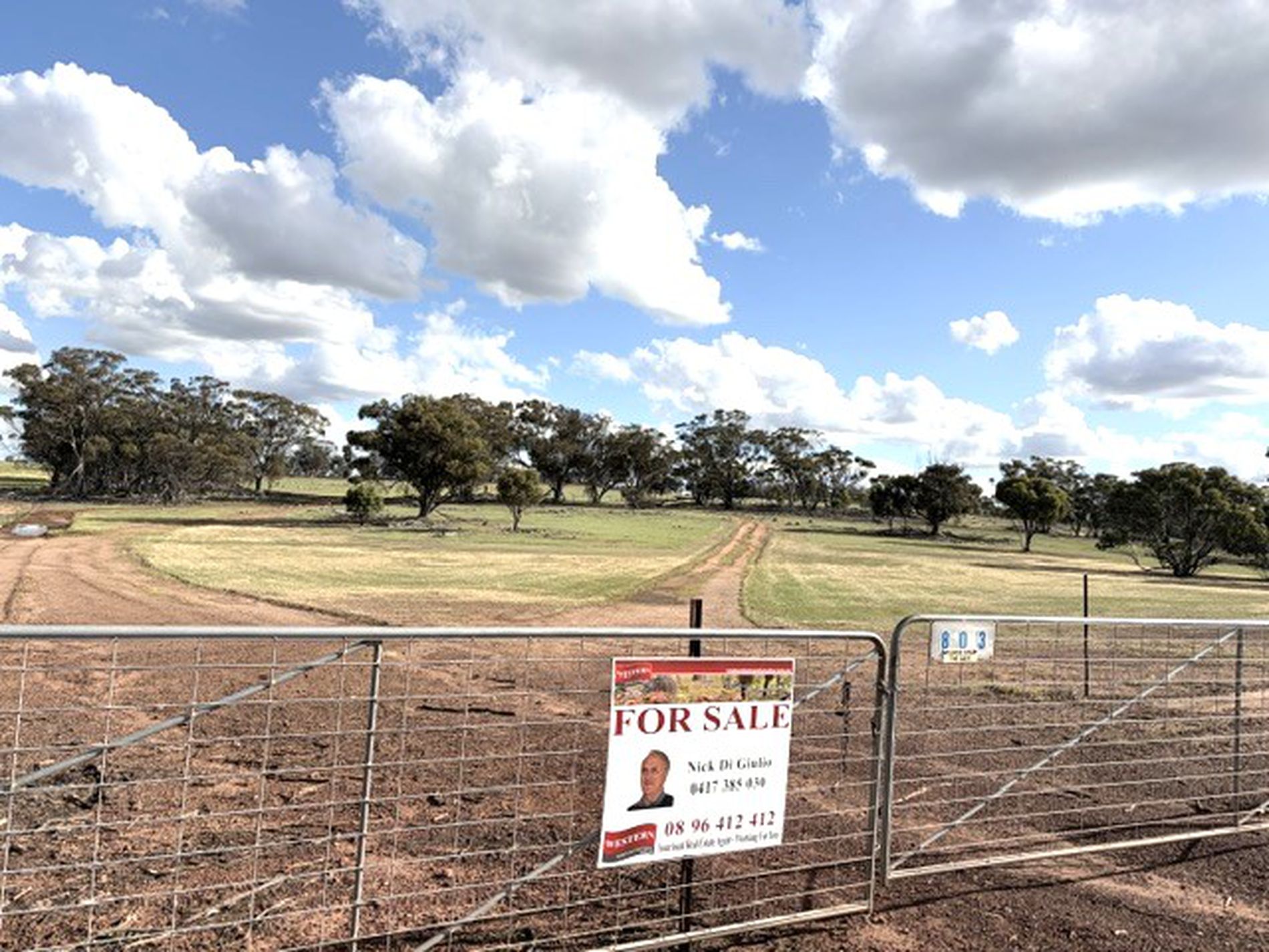 803 Snows Road, Gillimanning