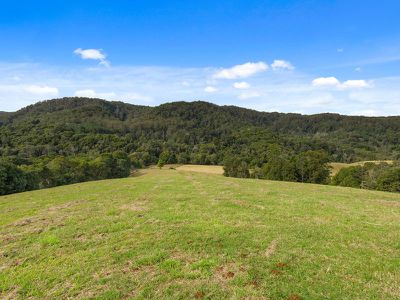1242 Tuntable Creek Road, Nimbin