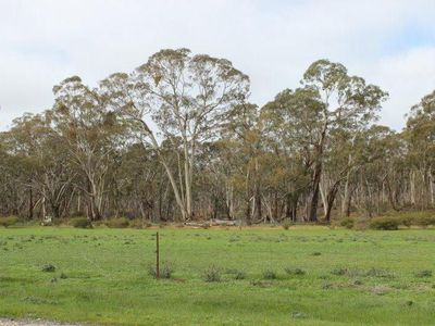 Old Boort Road, Wedderburn