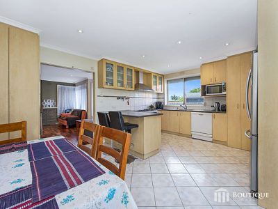 30 Cosier Drive, Noble Park