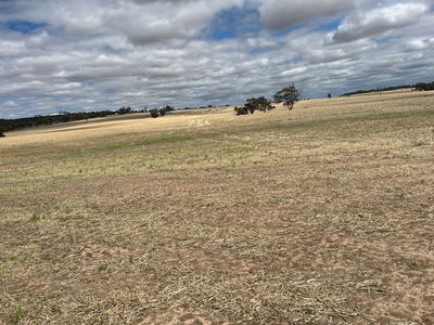 351 Cooke Road, East Popanyinning