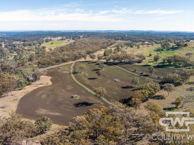 Lot 8, - Emmaville Road, Emmaville