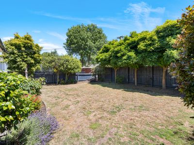 44 Emlyn Place, Avondale