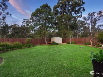 68 Sedgman Crescent, Shalvey