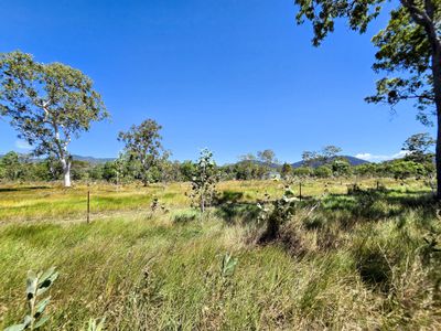556 Mount Amos Road, Cooktown
