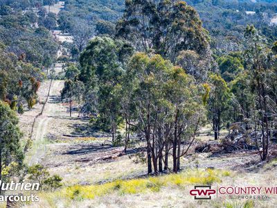 668 Ten Mile Road, Deepwater