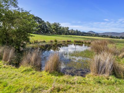 5703 Huon Highway, Surges Bay