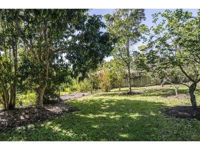 58 George Street, Tewantin