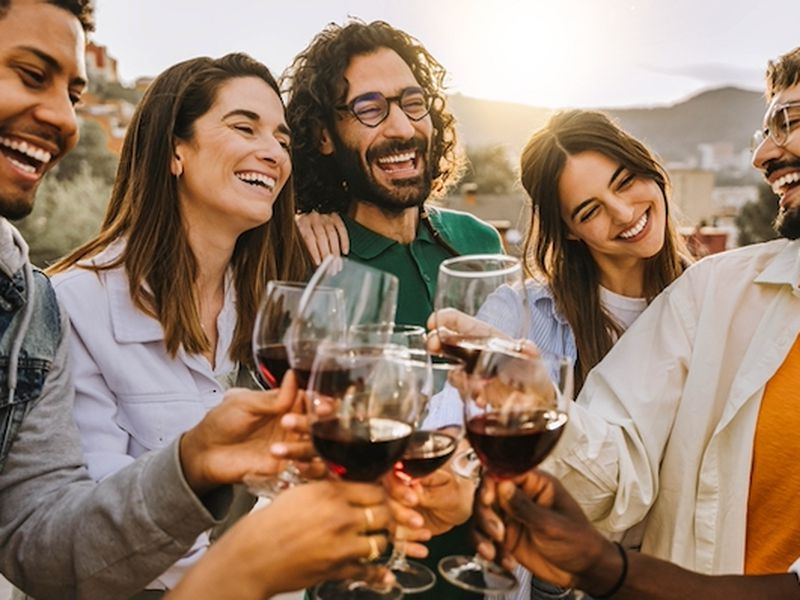 Personalised Wine Subscription Brand| E-Commerce | Lifestyle Opportunity