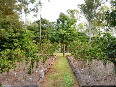 53 Mountney Road, Strathdickie