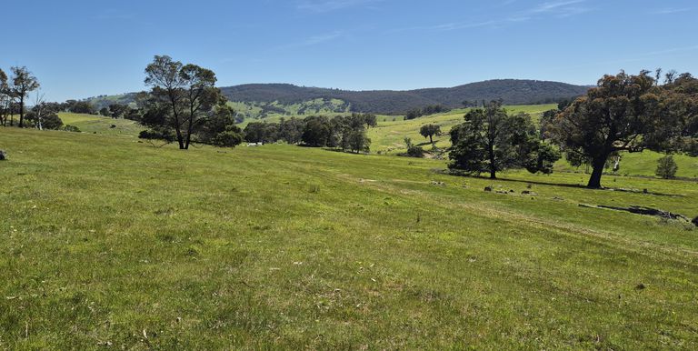 665 Fernhills Road, Marraweeney