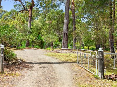 343 Bingie Road, Bingie