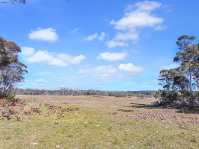 Lot 193 / 443 Back Creek Road, Mongarlowe