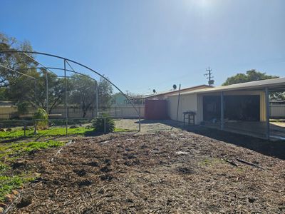 13 Pollock, Merredin