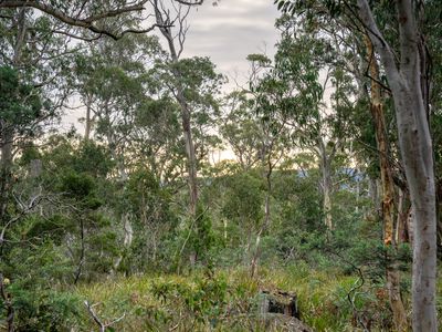 'Hardings Bay Retreat', Lake Leake Road, Lake Leake