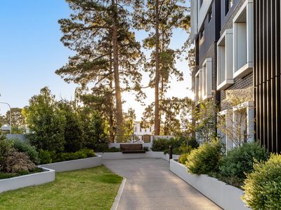 807 / 9 Banksia Street, Glenside