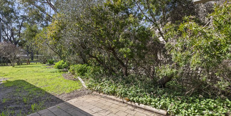 59 Shiffner Street, Violet Town