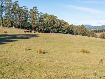 Lot 2 Sledge Hill Road , Glendevie
