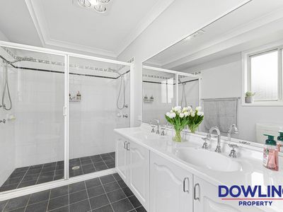 7 Osprey Circuit, Medowie