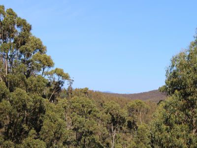 Lot 1 Off Scanlons Road, Cradoc