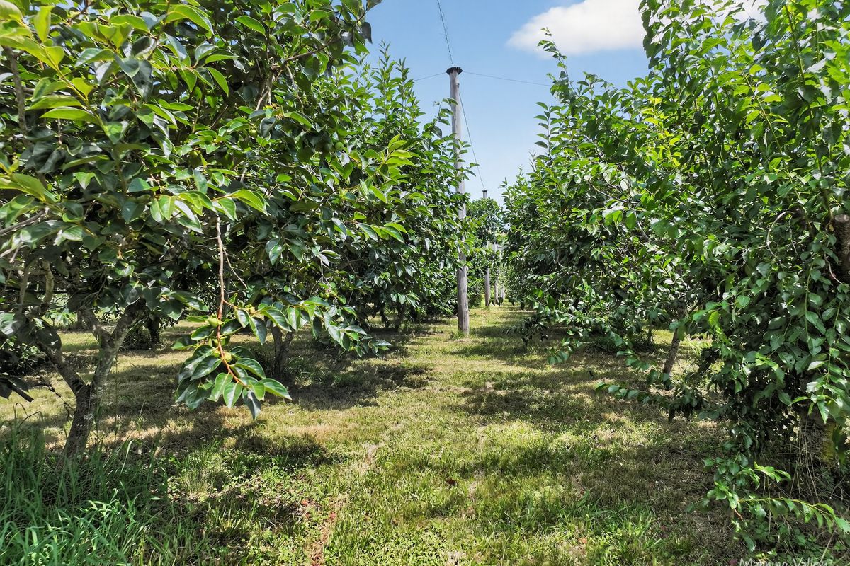 85 Schneiders Road, Bobin