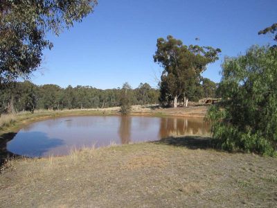 364 Sugarloaf Road, Axedale