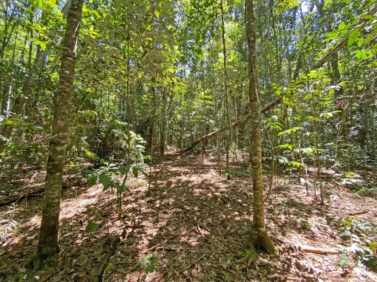 Lake Eacham