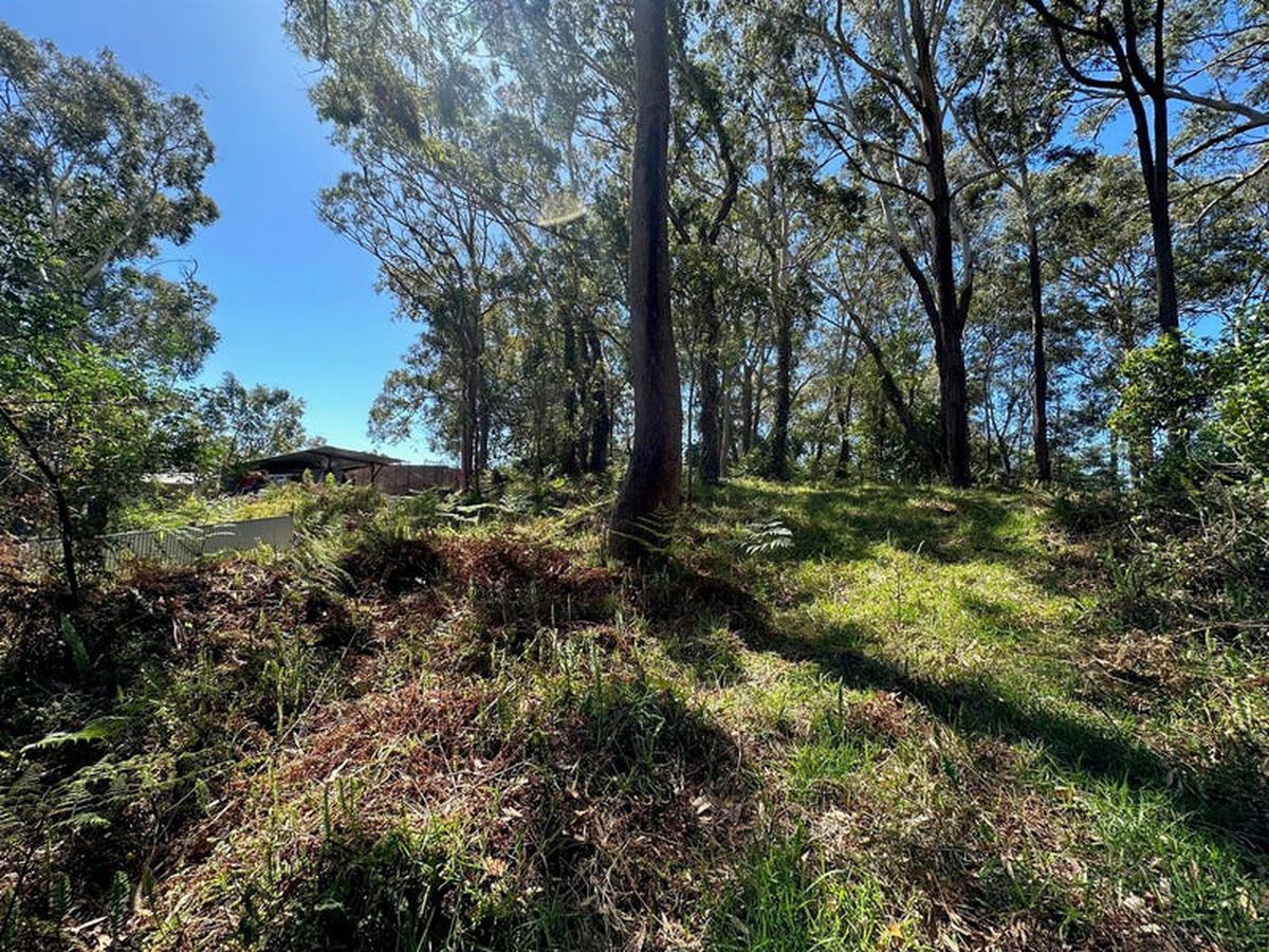 23 James Scott Crescent, Lemon Tree Passage, Lemon Tree Passage - Thumbnail 3