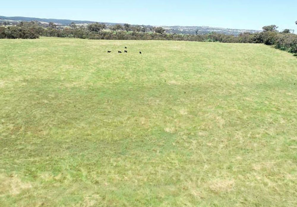 Lot 101 Strathmore Lane, Molong