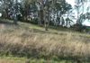 Lot 12 South Street, Molong