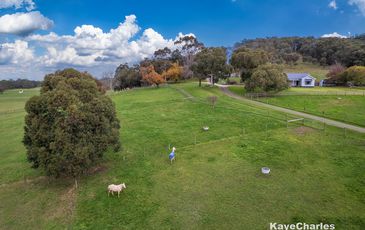 65 Leppitt Road, Pakenham