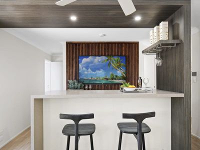 17 Frankston Court, Robina