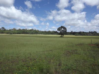 3389 Bundarra Road, Gilgai