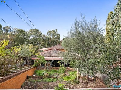 40 Longview Street, Pascoe Vale