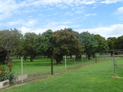 39 Telegraph Road, Bowen