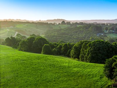 111 FOWLERS LANE, Bangalow