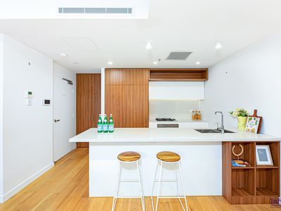301 / 71 Euston Road, Alexandria