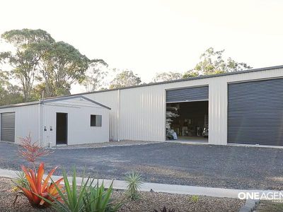 4 Paperbark Way, Urangan
