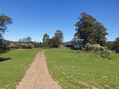 Lot 1 (99 Acres), Coal Mine Road, Kaoota