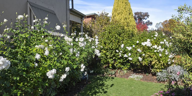 25 Anderson Street, Euroa