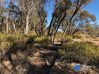 60D Mt. Kerang Road, Buckrabanyule